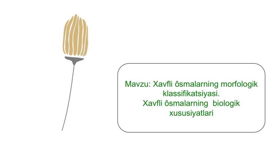 Xavfli ôsmalarning morfologik klassifikatsiyasi. Xavfli ôsmalarning biologik xususiyatlari