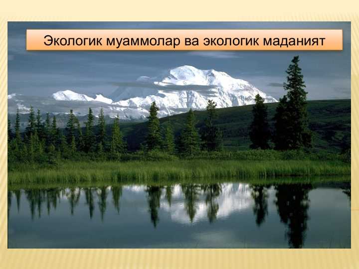 Экологик муаммолар ва экологик маданият