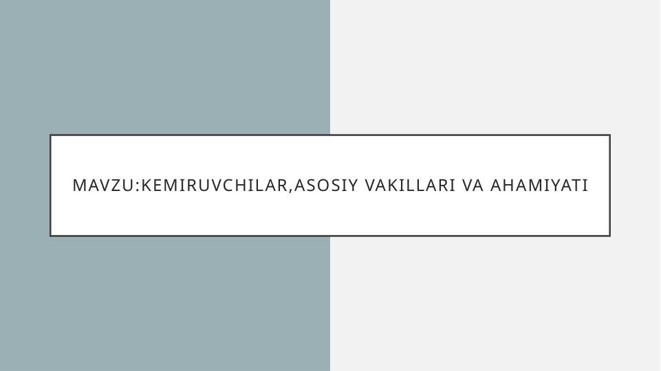 kemiruvchilar,asosiy vakillari va ahamiyati