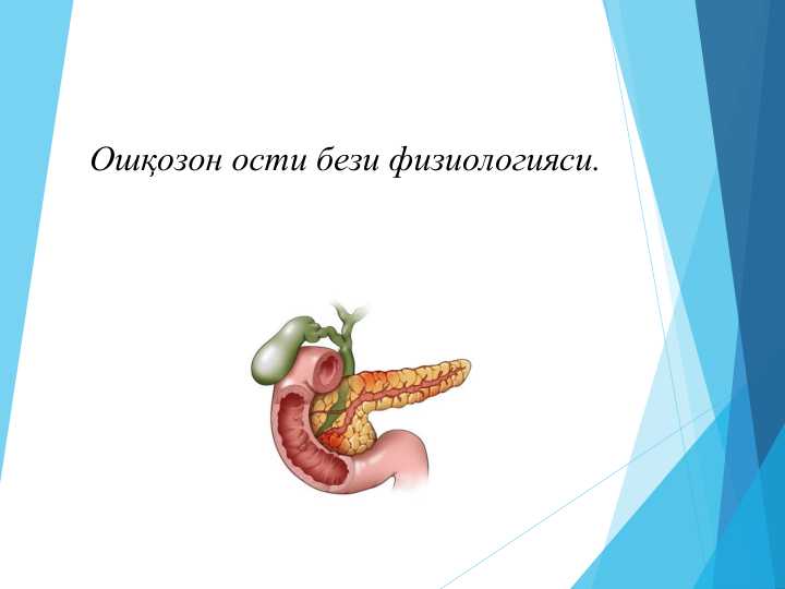 Ошқозон ости бези физиологияси