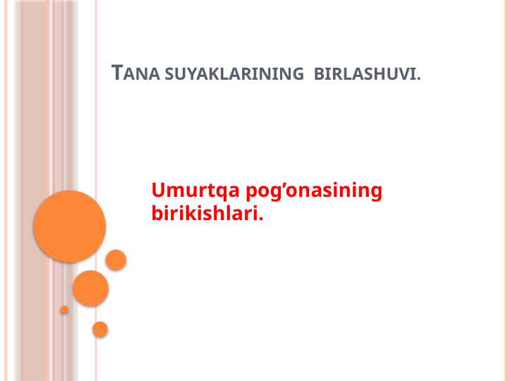 Tana suyaklarining birlashuvi. Umurtqa pogāonasining birikishlari.