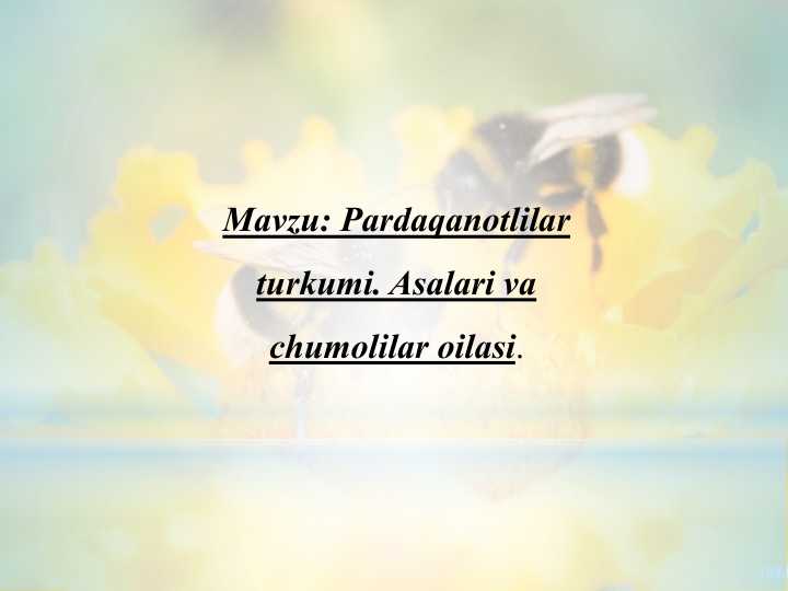 Pardaqanotlilar turkumi. Asalari va chumolilar oilasi