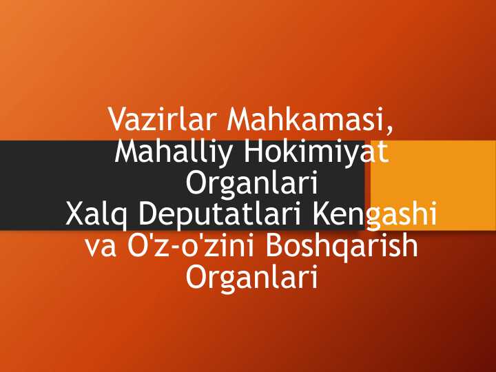 Vazirlar Mahkamasi, Mahalliy Hokimiyat Organlari Xalq Deputatlari Kengashi va O'z-o'zini Boshqarish Organlari