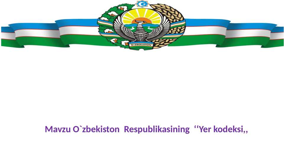 Yer kodeksi