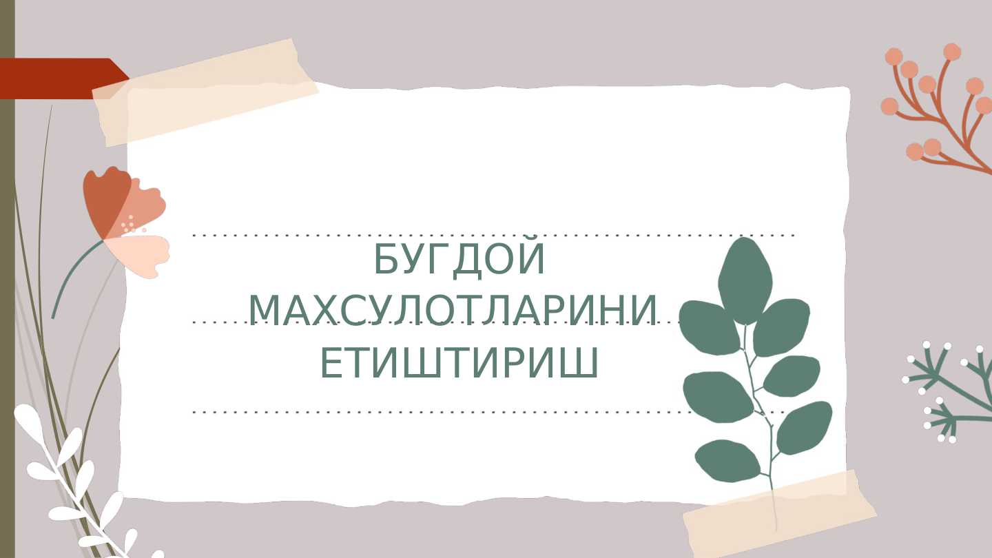 Бугдой mахсулотларини етиштириш