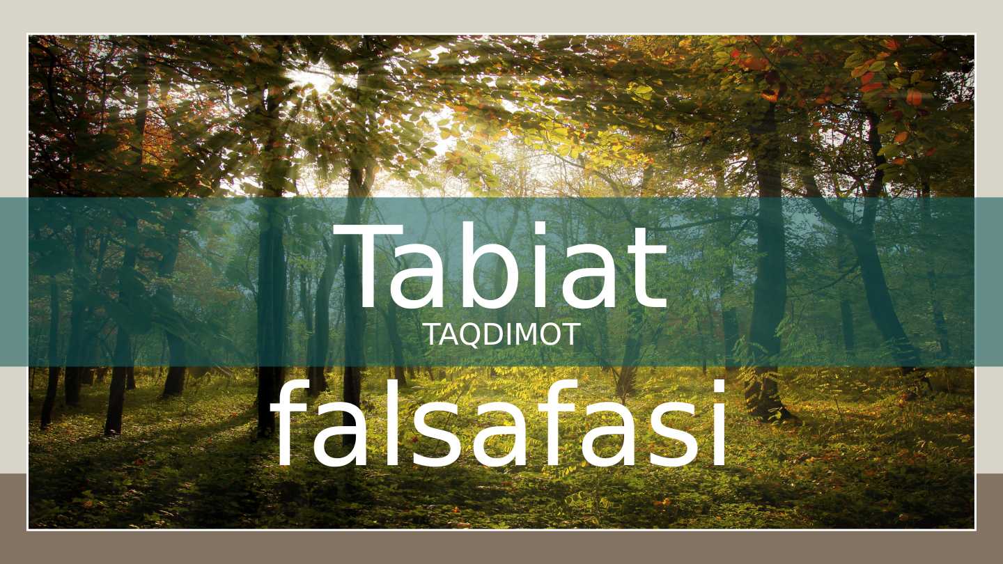 Tabiat falsafasi