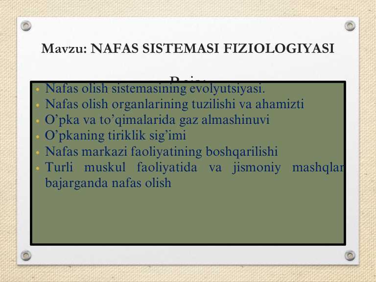 Nafas sistemasi fiziologiyasi, nafas a'zolari haqida ma'lumot