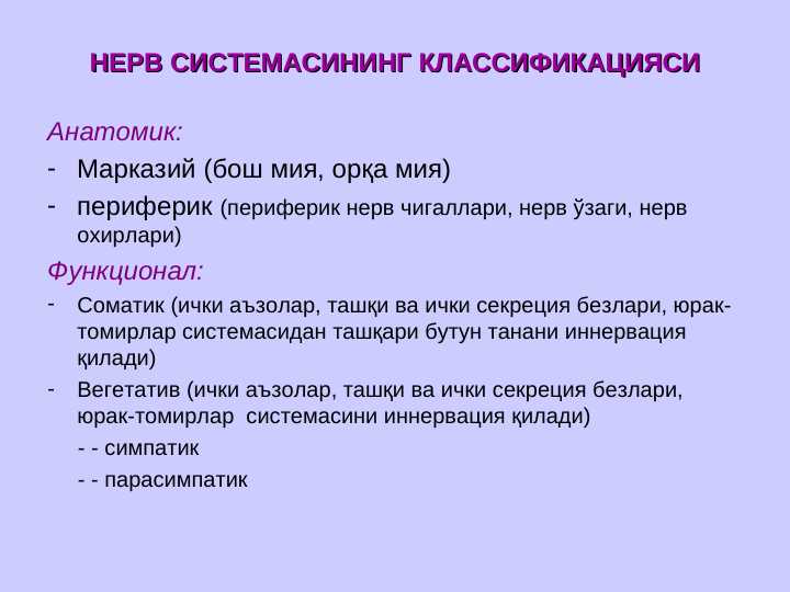 Nerv sistemasi gistologiyasi . To`liq