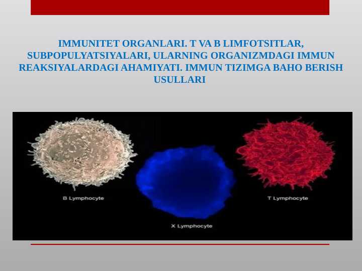 IMMUNITET ORGANLARI. T VA B LIMFOTSITLAR, SUBPOPULYATSIYALARI, ULARNING ORGANIZMDAGI IMMUN REAKSIYALARDAGI AHAMIYATI. IMMUN TIZIMGA BAHO BERISH USULLARI