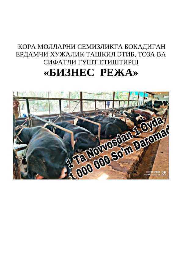 QORAMOLCHILIK BIZNES REJA