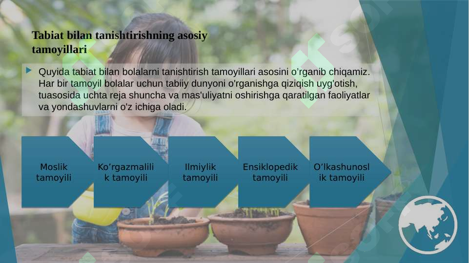 Tabiat bilan tanishtirish tamoyillari taqdimot-prezentatsiya