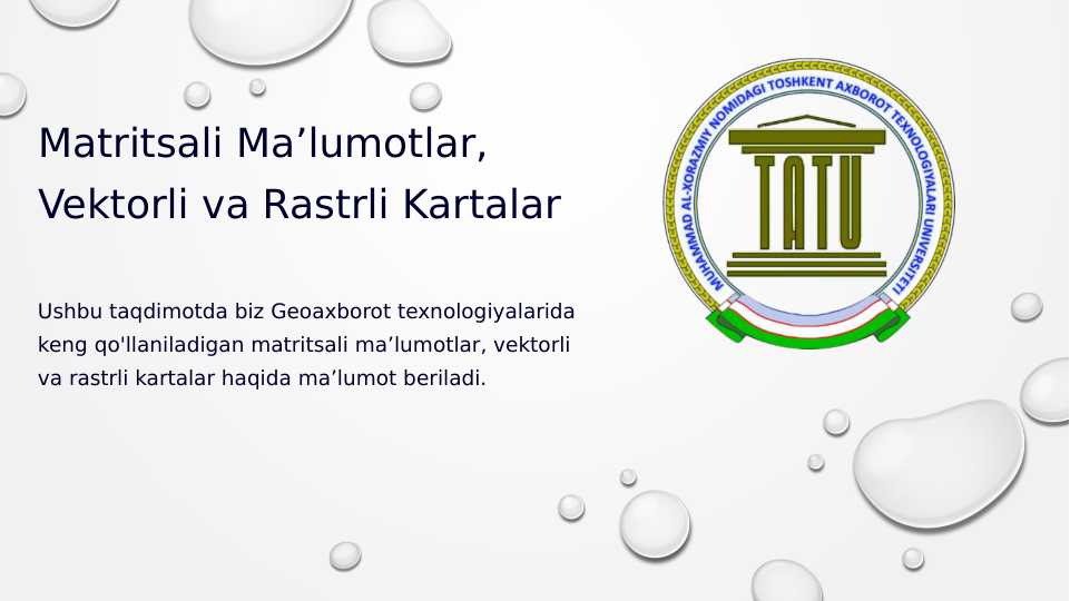 Matritsali Maʼlumotlar, Vektorli va Rastrli Kartalar