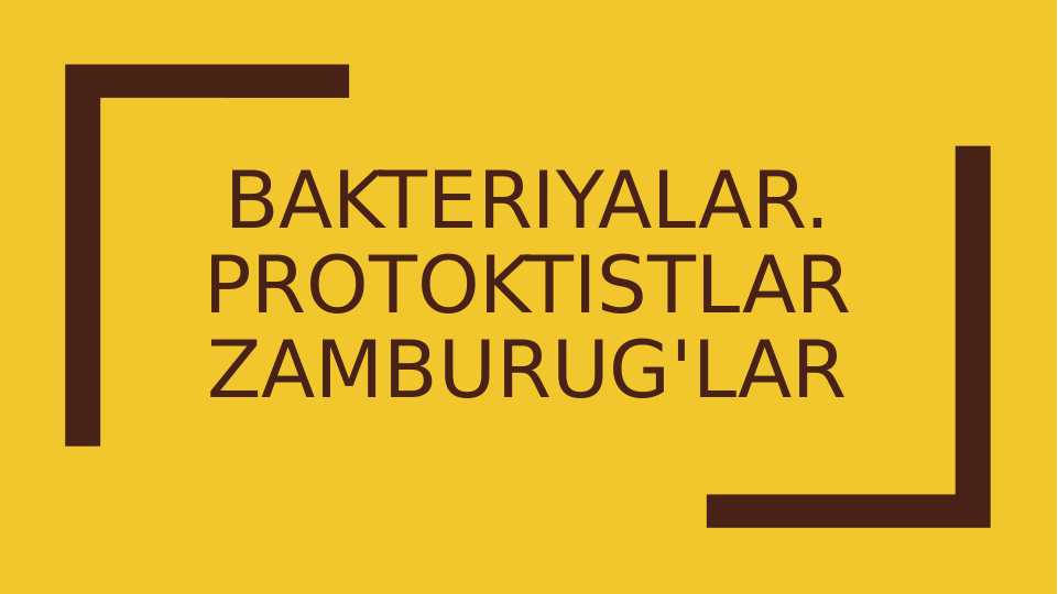 Bakteriyalar. Protoktistlar Zamburug'lar