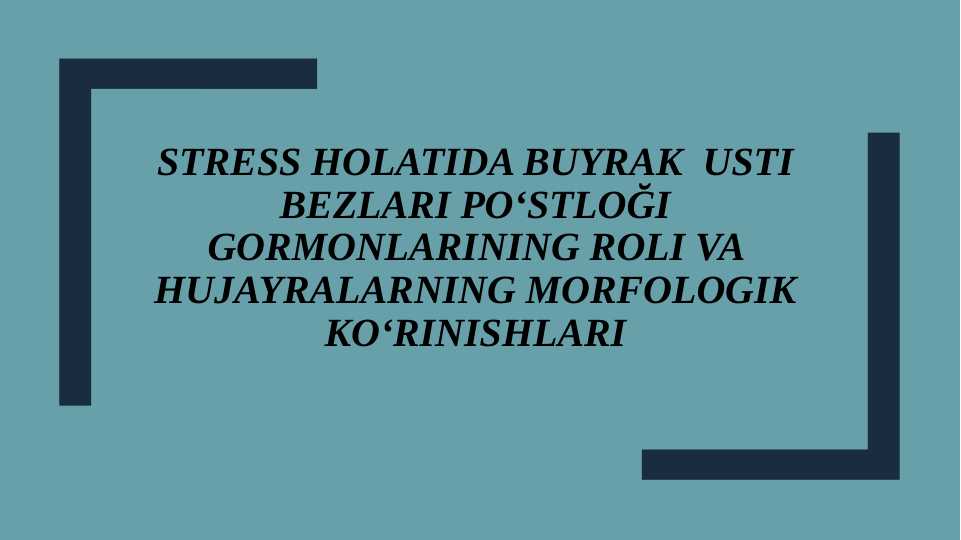 Stress holatida buyrak usti bezlari poʻstlog'i gormonlarining roli va hujayralarning morfologik koʻrinishlari