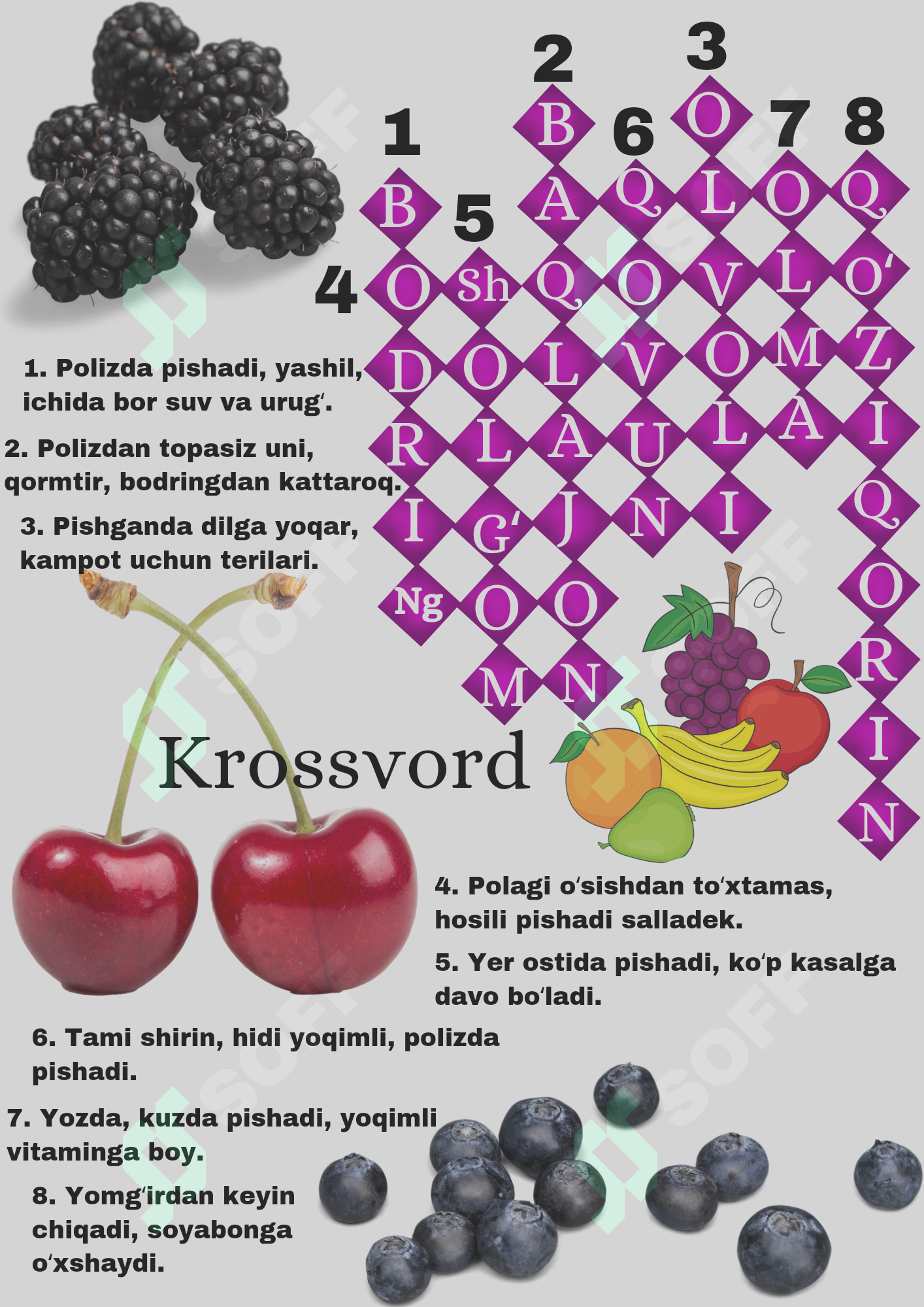 Krossvord boshqotirmasi