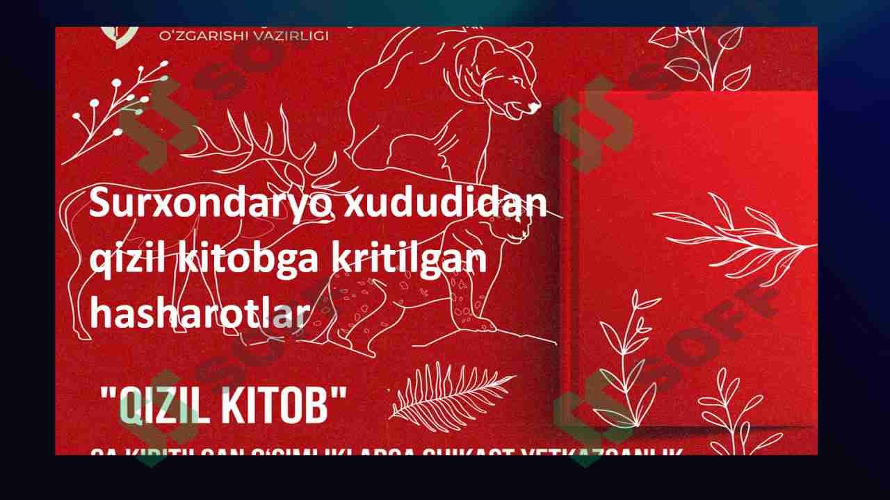 Surxondaryo xududidan qizil kitobga kritilgan hasharotlar