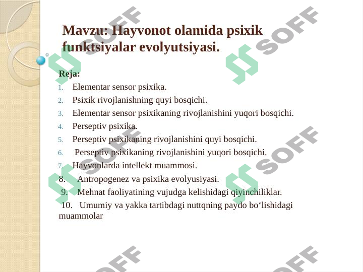 Hayvonot olamida psixik funktsiyalar evolyutsiyasi.