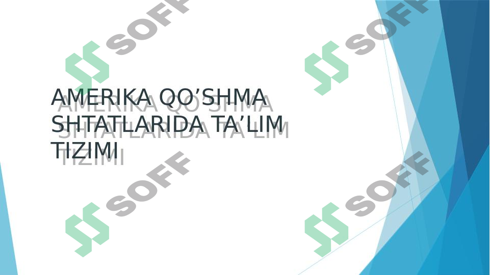 Amerika Qo'shma Shtatlarida ta'lim tizimi