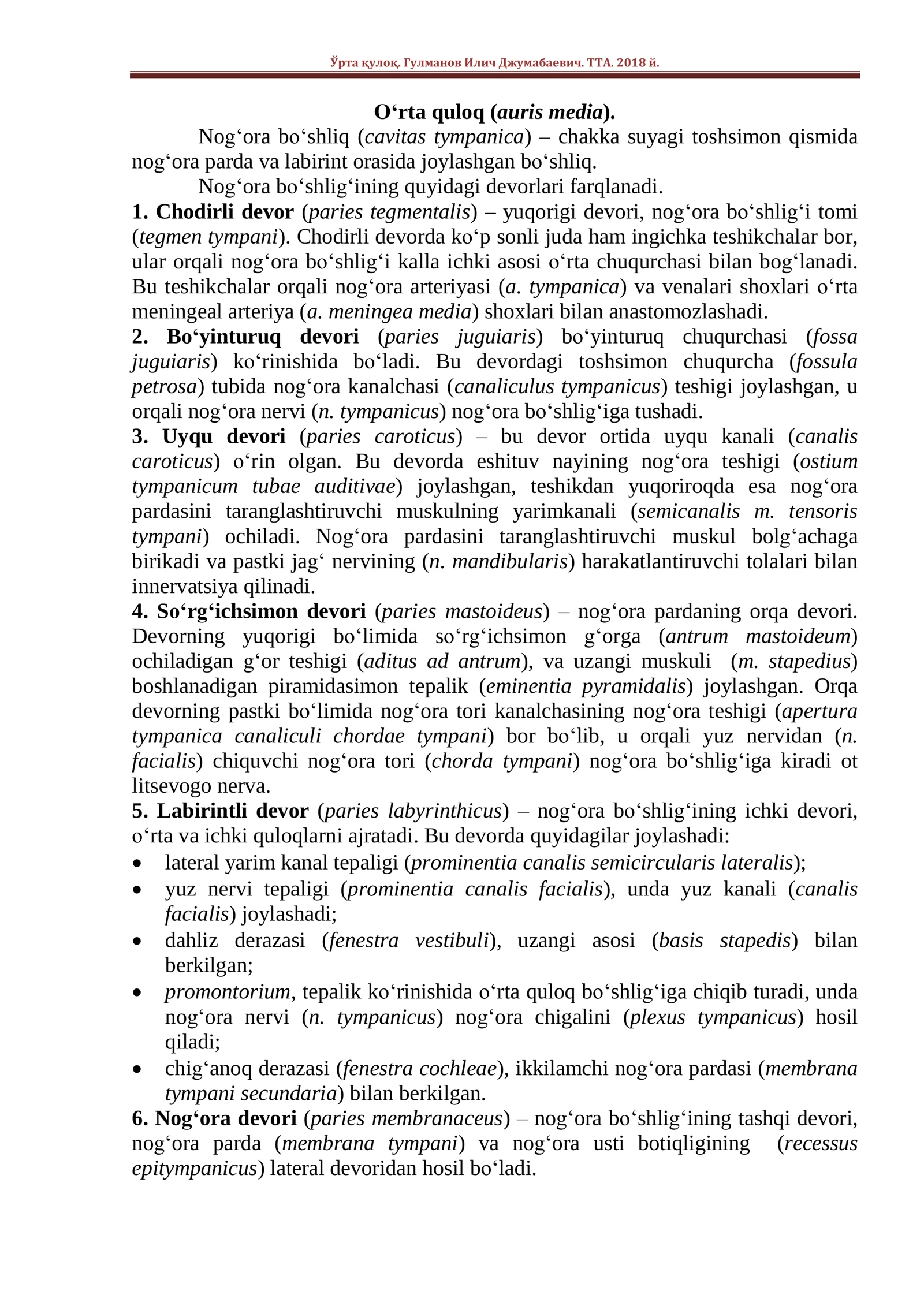 Nog‘ora bo‘shlig‘ining quyidagi devorlari farqlanadi