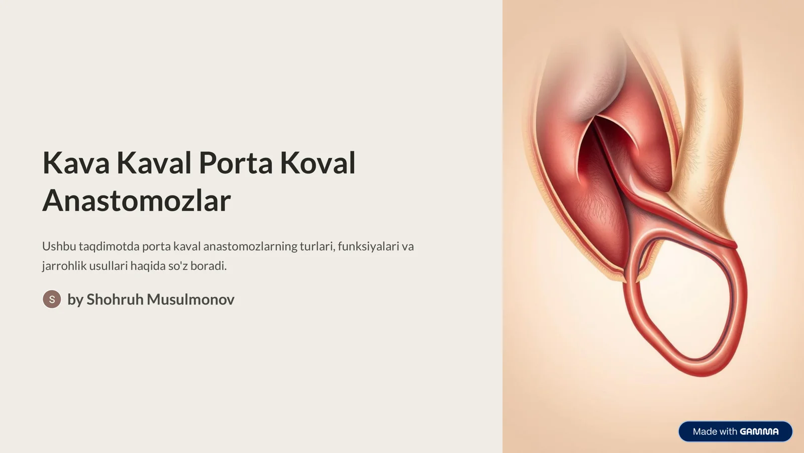 Kava Kaval Porta Koval Anastomozlar