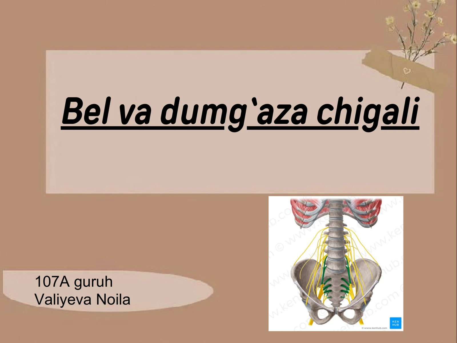 Bel va dumg`aza chigali