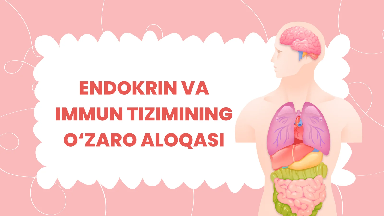 Endokrin va immun tizimining o‘zaro aloqasi