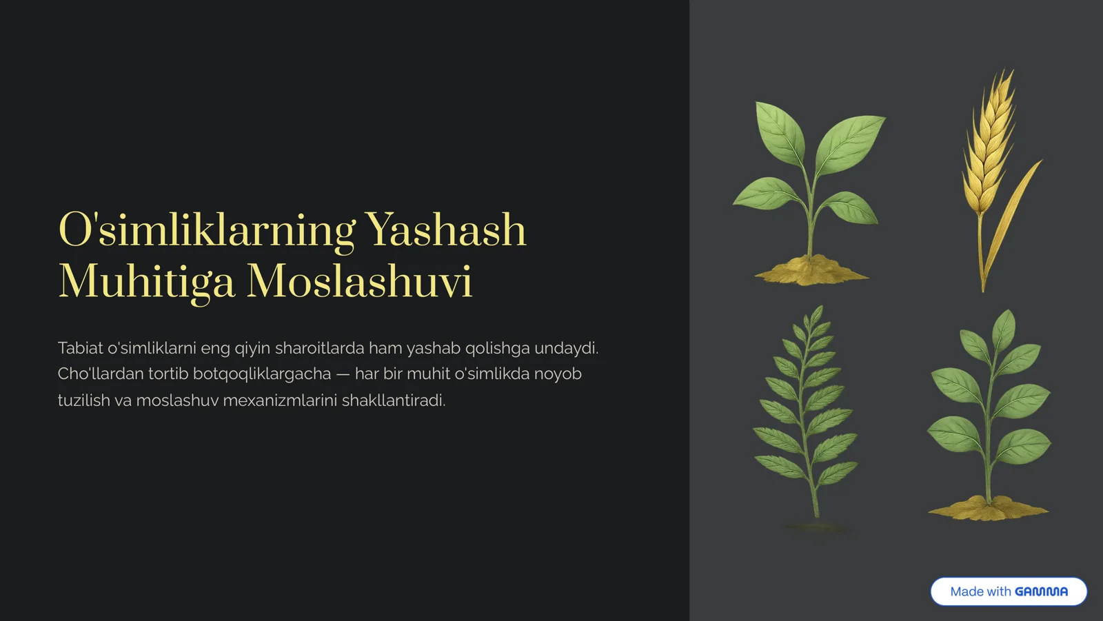 O'simliklarning Yashash Muhitiga Moslashuvi