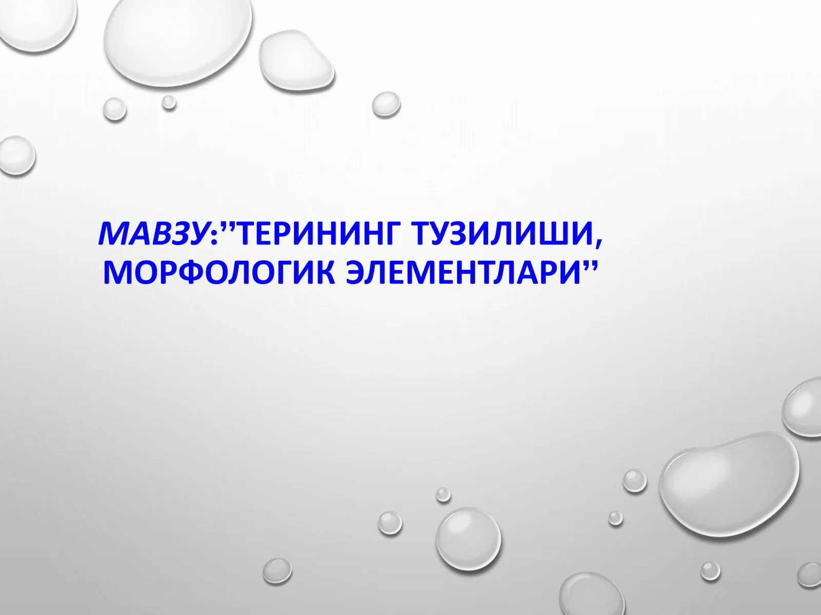 ТЕРИНИНГ ТУЗИЛИШИ, МОРФОЛОГИК ЭЛЕМЕНТЛАРИ