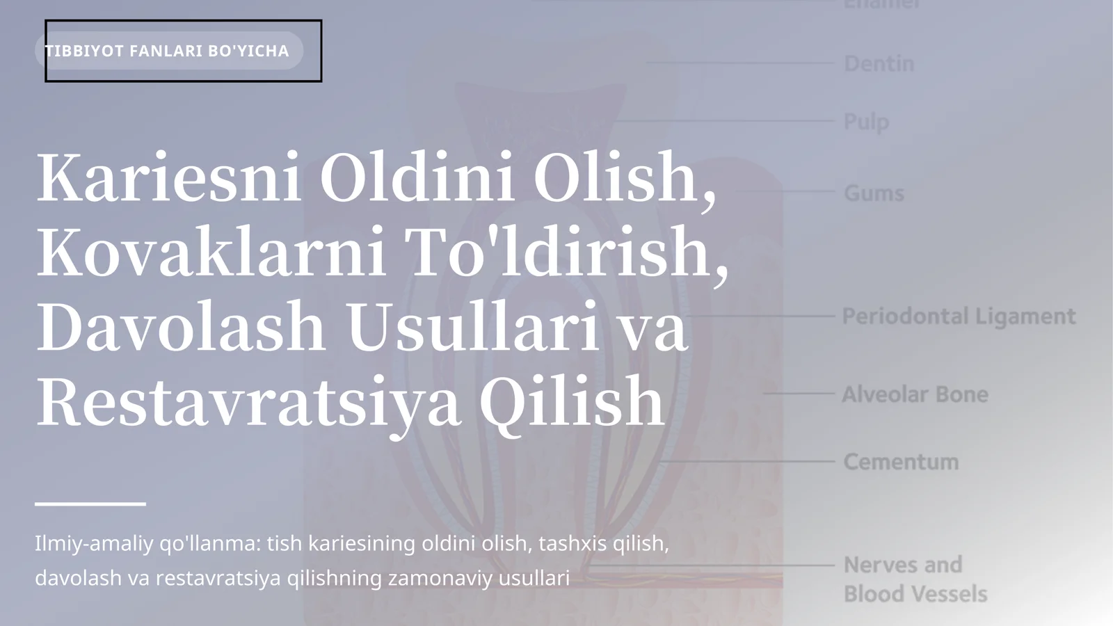 Kariesni Oldini Olish, Kovaklarni To'ldirish, Davolash Usullari va Restavratsiya Qilish