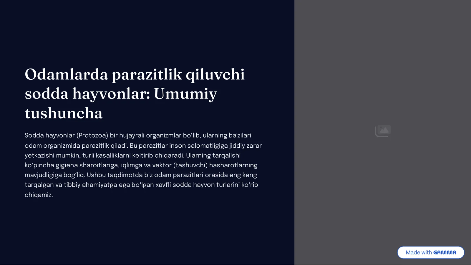 Odamlarda parazitlik qiluvchi sodda xayvonlar: xivchinlilar odam parazitlari: tripanosomalar, leyshmaniyalar, trixomonodalar, lyambliyalar