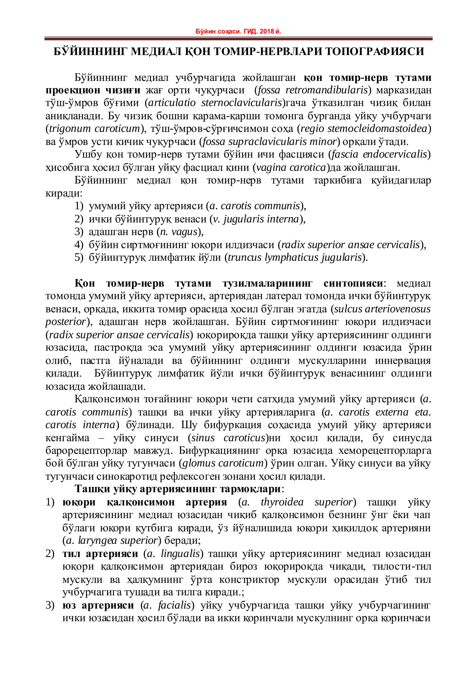 БЎЙИННИНГ МЕДИАЛ ҚОН ТОМИР-НЕРВЛАРИ ТОПОГРАФИЯСИ