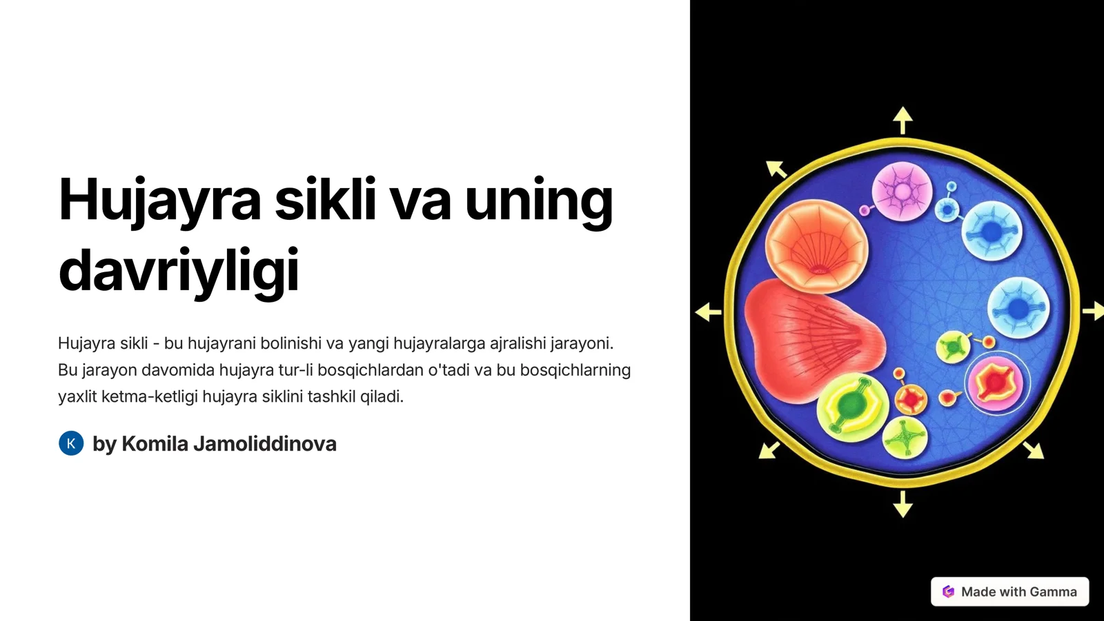 Hujayra sikli va uning davriyligi