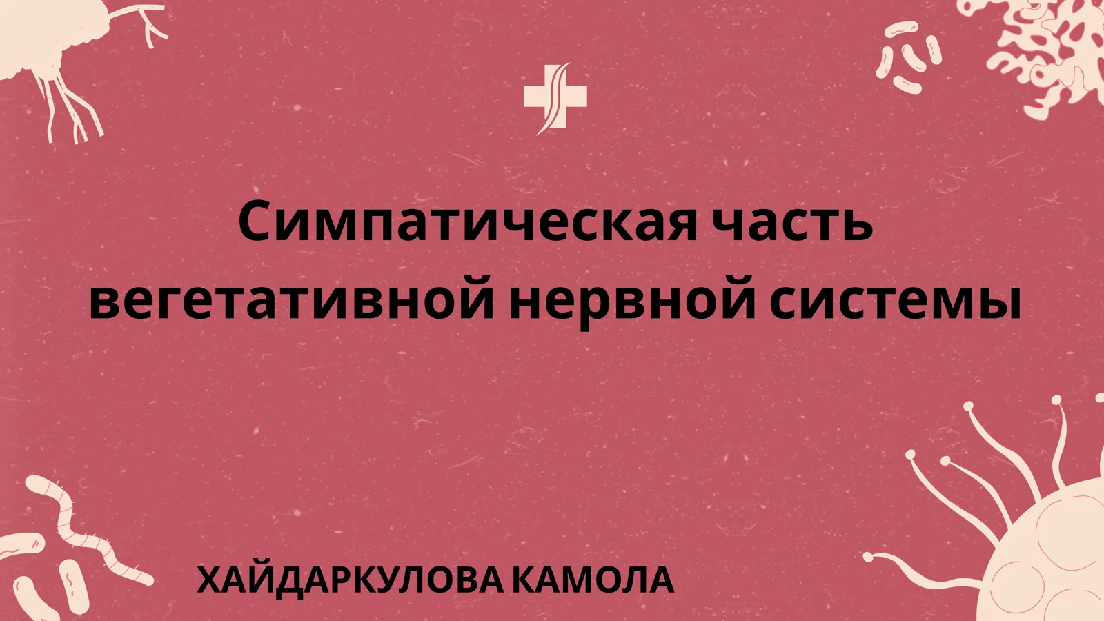 Симпатическая часть вегетативной нервной системы