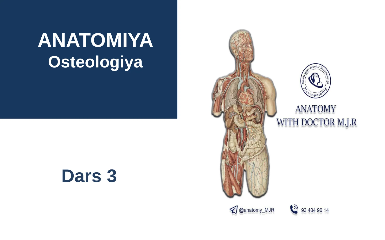 Osteologiya Dars 3