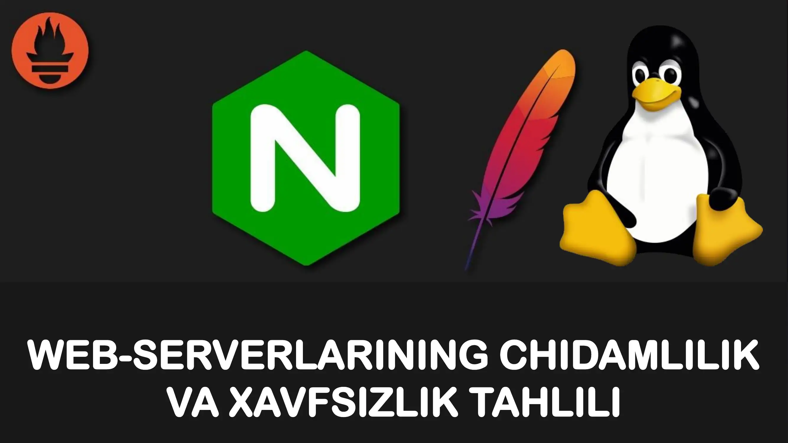 Web-Serverlarining Chidamlilik va Xavfsizlik Tahlili