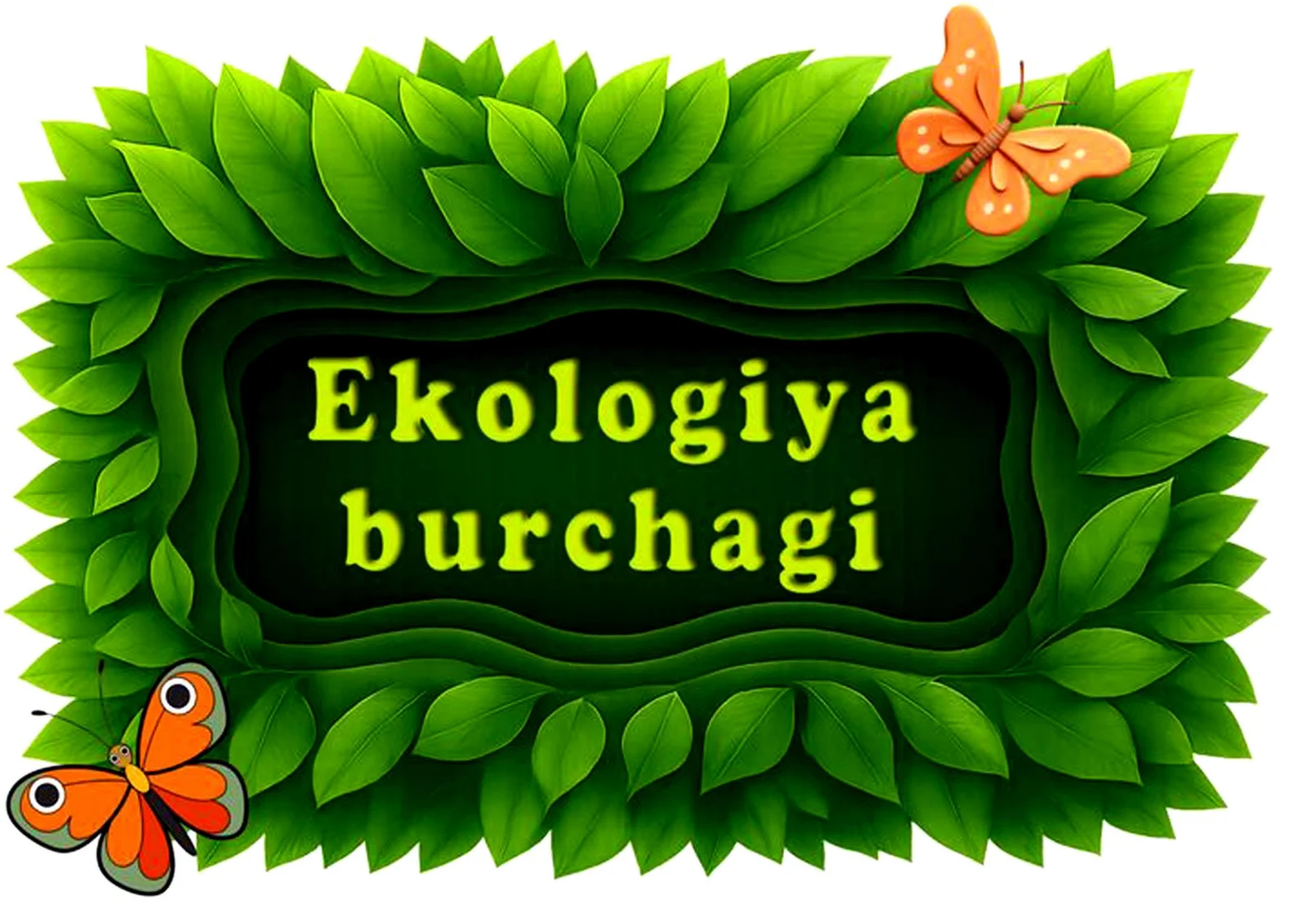 Ekologiya burchaki Maktabgacha ta'lim tashkiloti