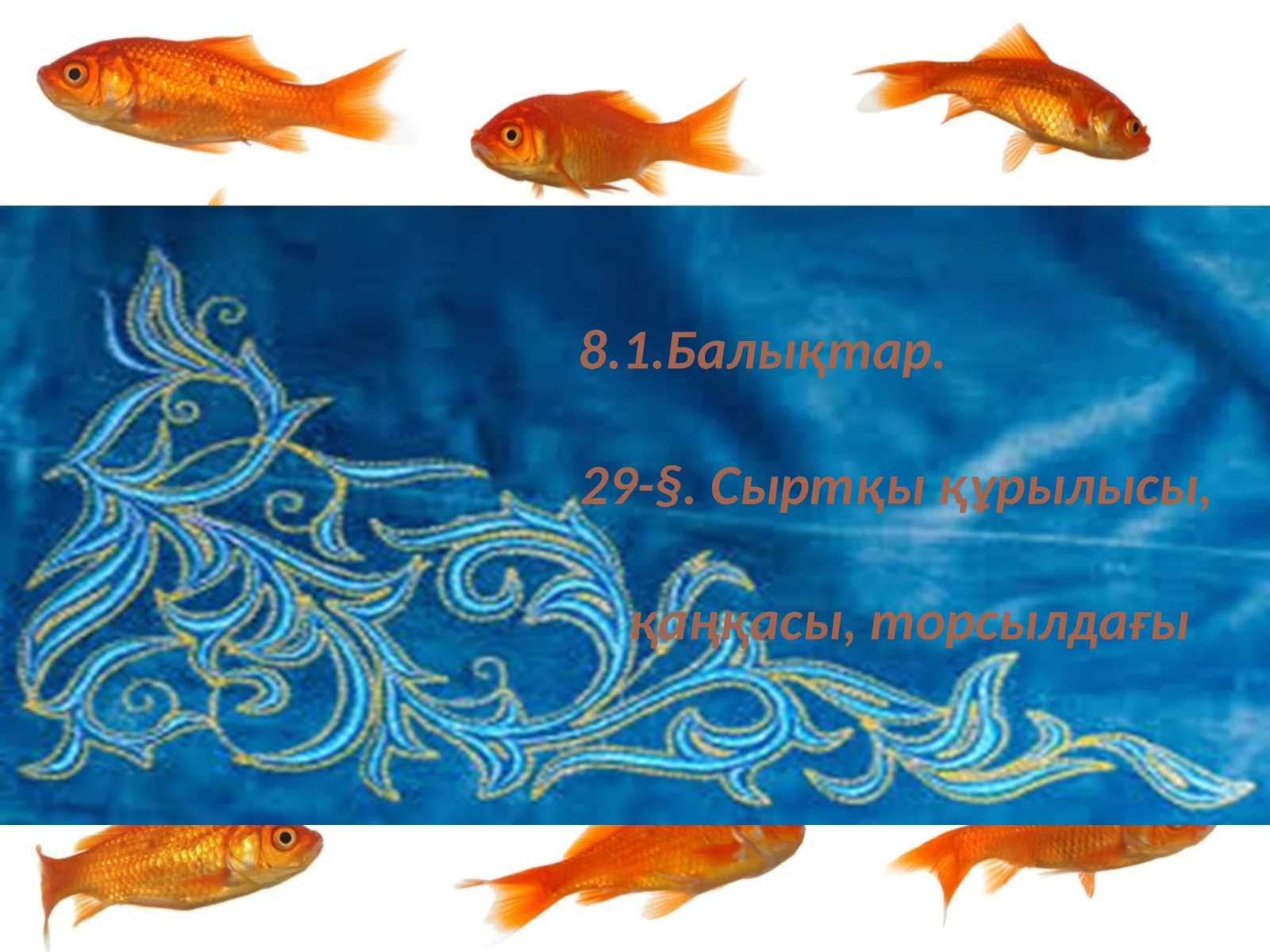 Балықтар.Сыртқықұрылысы,қаңқасыторсылдағы