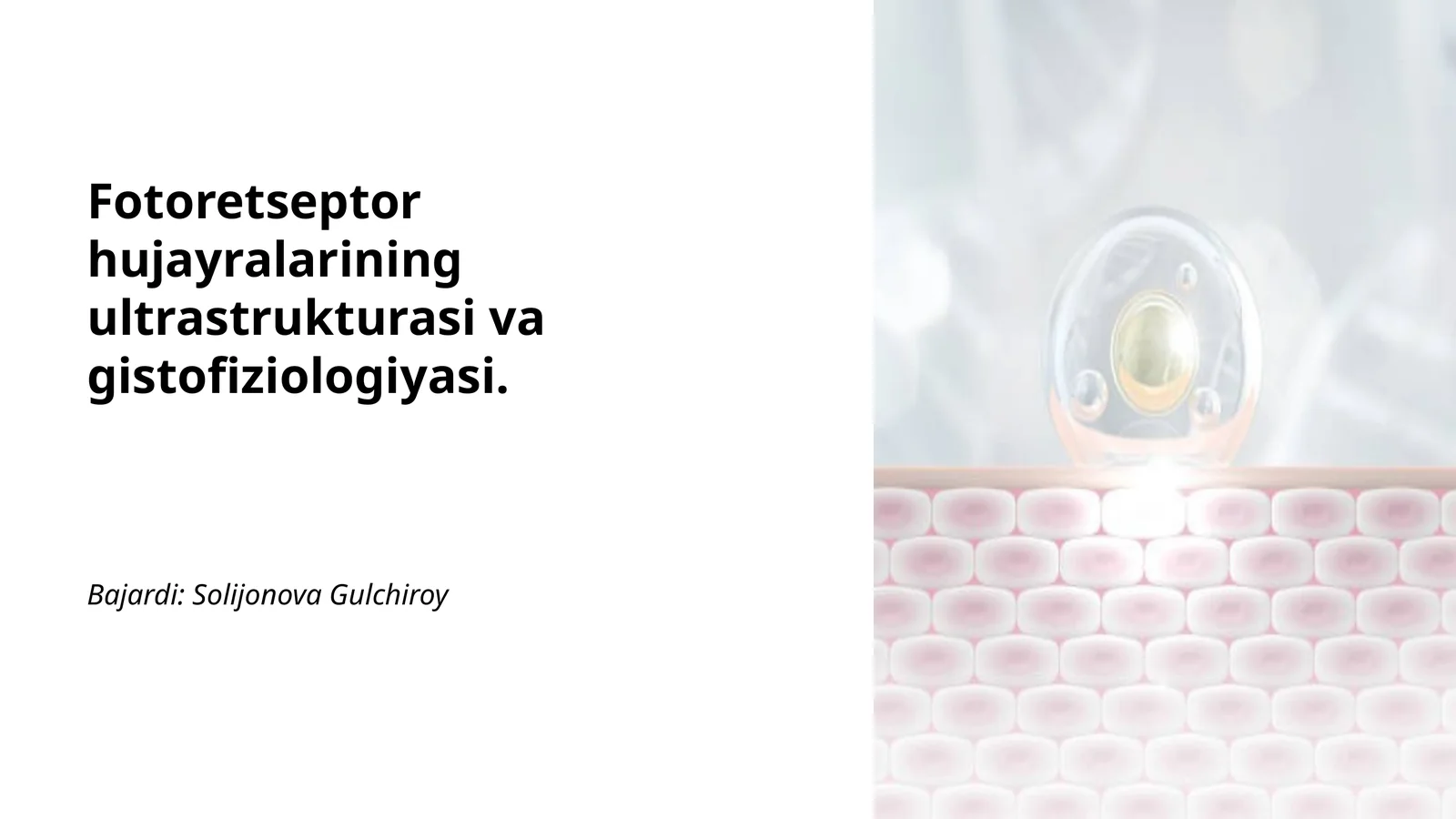 Fotoretseptor hujayralarining ultrastrukturasi va gistofiziologiyasi