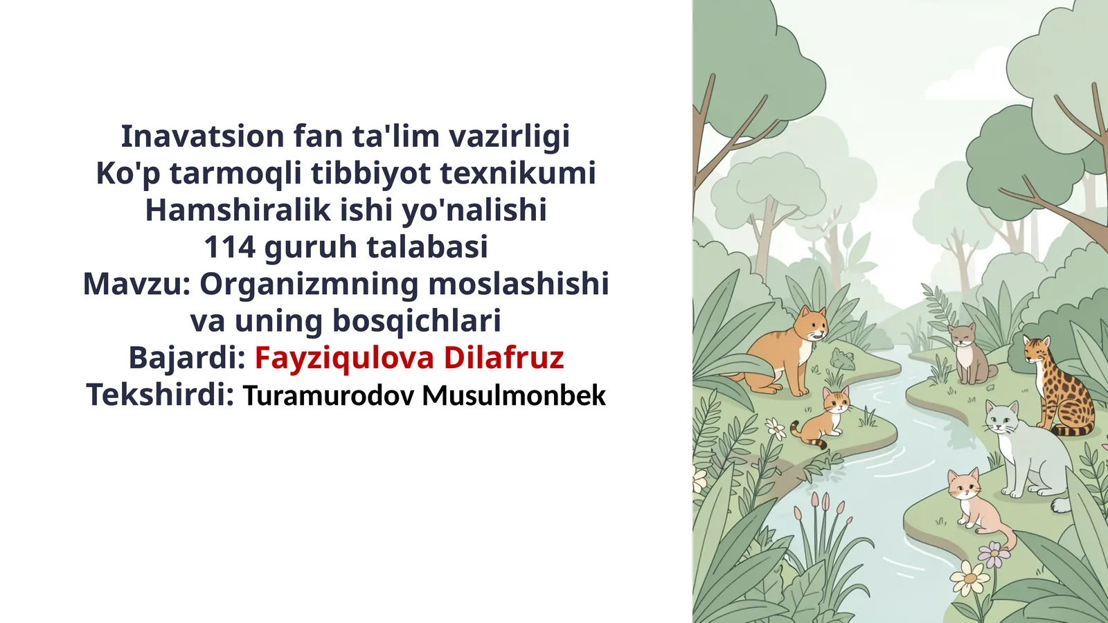Organizmning moslashishi va uning bosqichlari