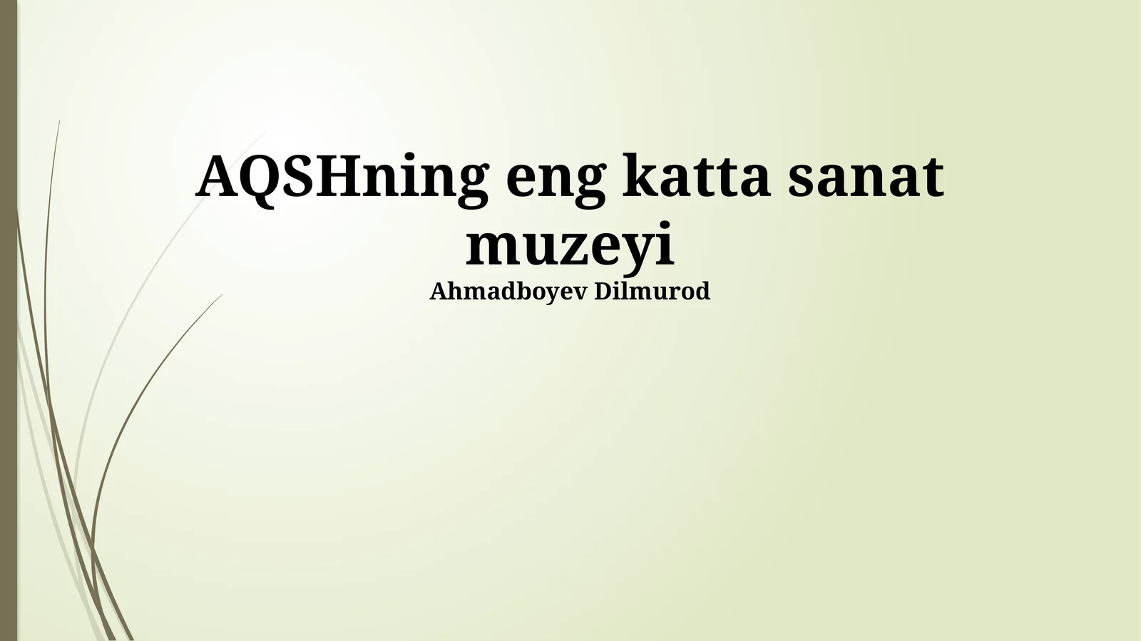 AQSHning eng katta sanat muzeyi