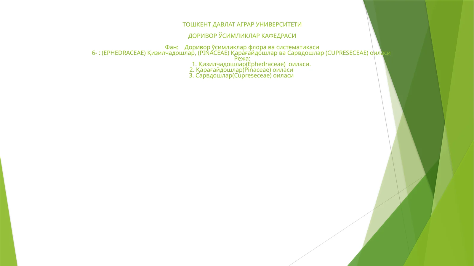 Эфедра (Ephedra)