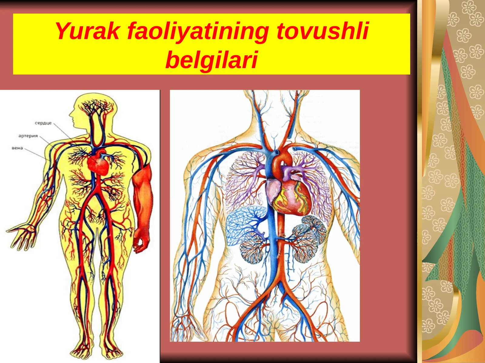 Yurak faoliyatining tovushli belgilari