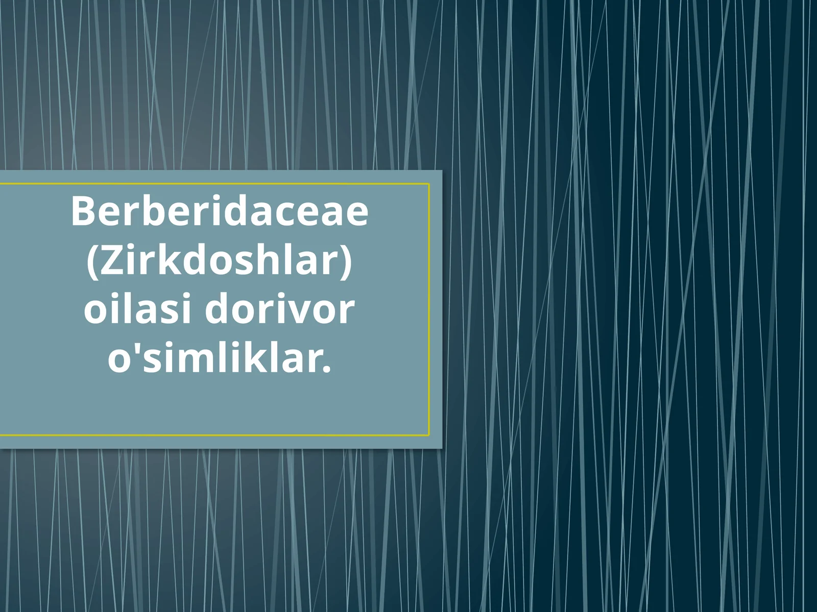 Zirkdoshlar Oilasi