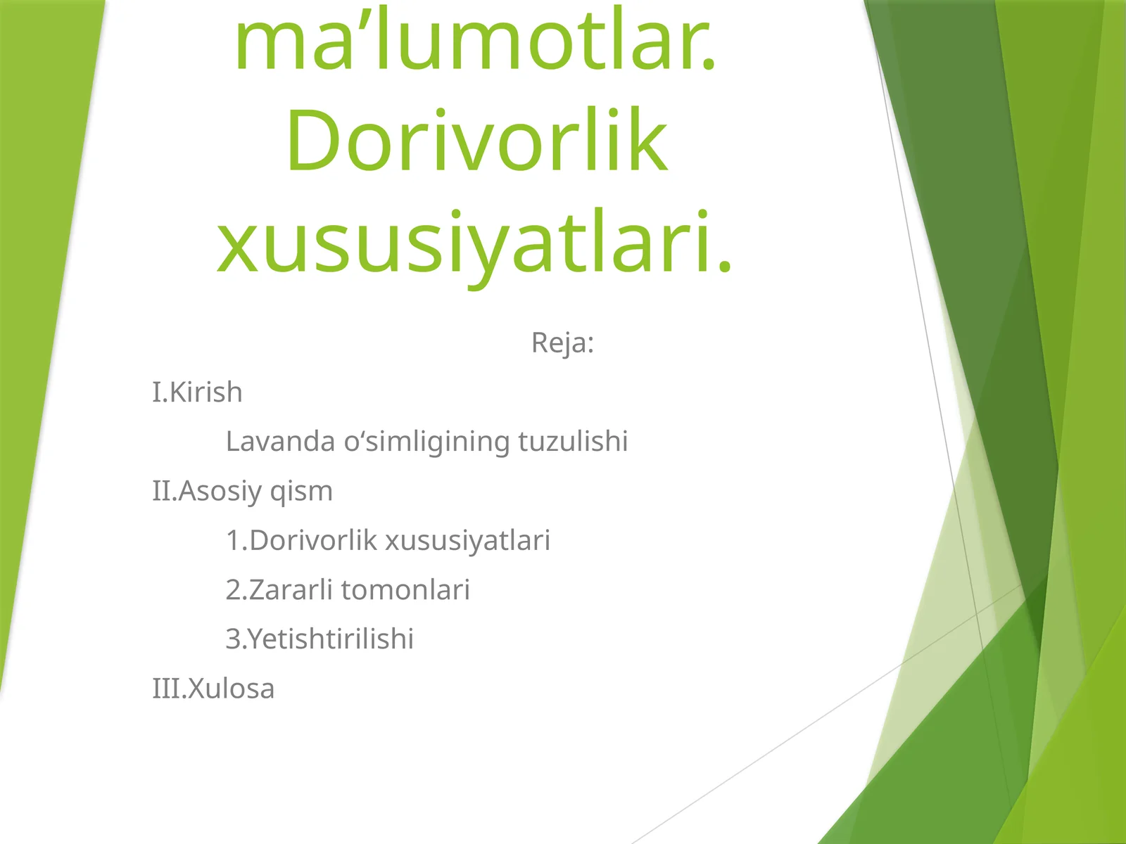 Lavanda oʻsimligi haqida maʼlumotlar