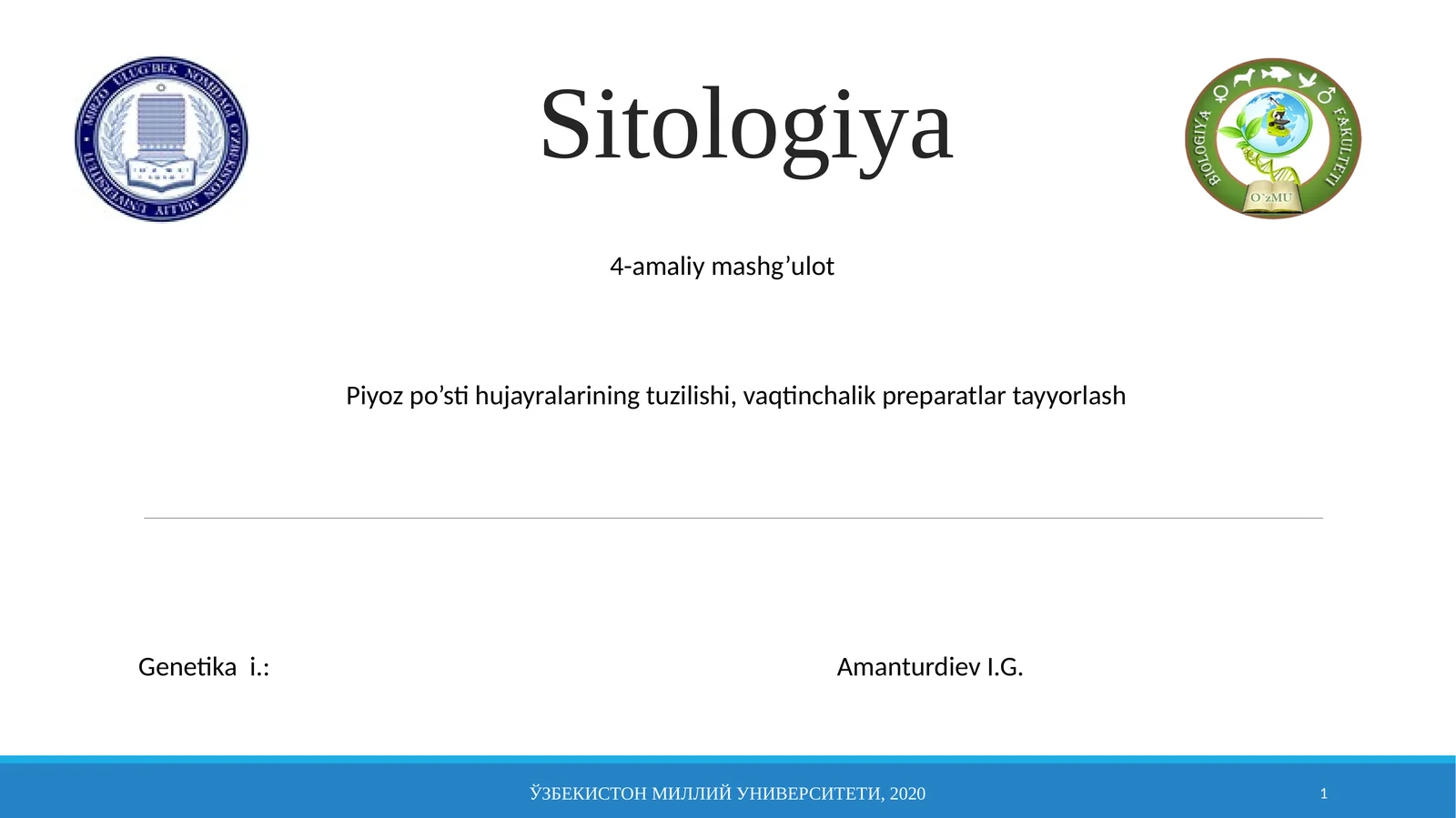 Piyozpo’sti hujayralarining tuzilishi