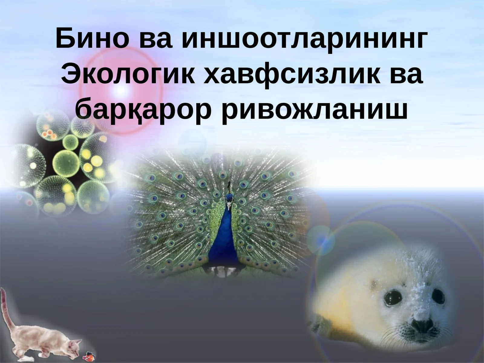Бино ва иншоотларининг Экологик хавфсизлик ва барқарор ривожланиш