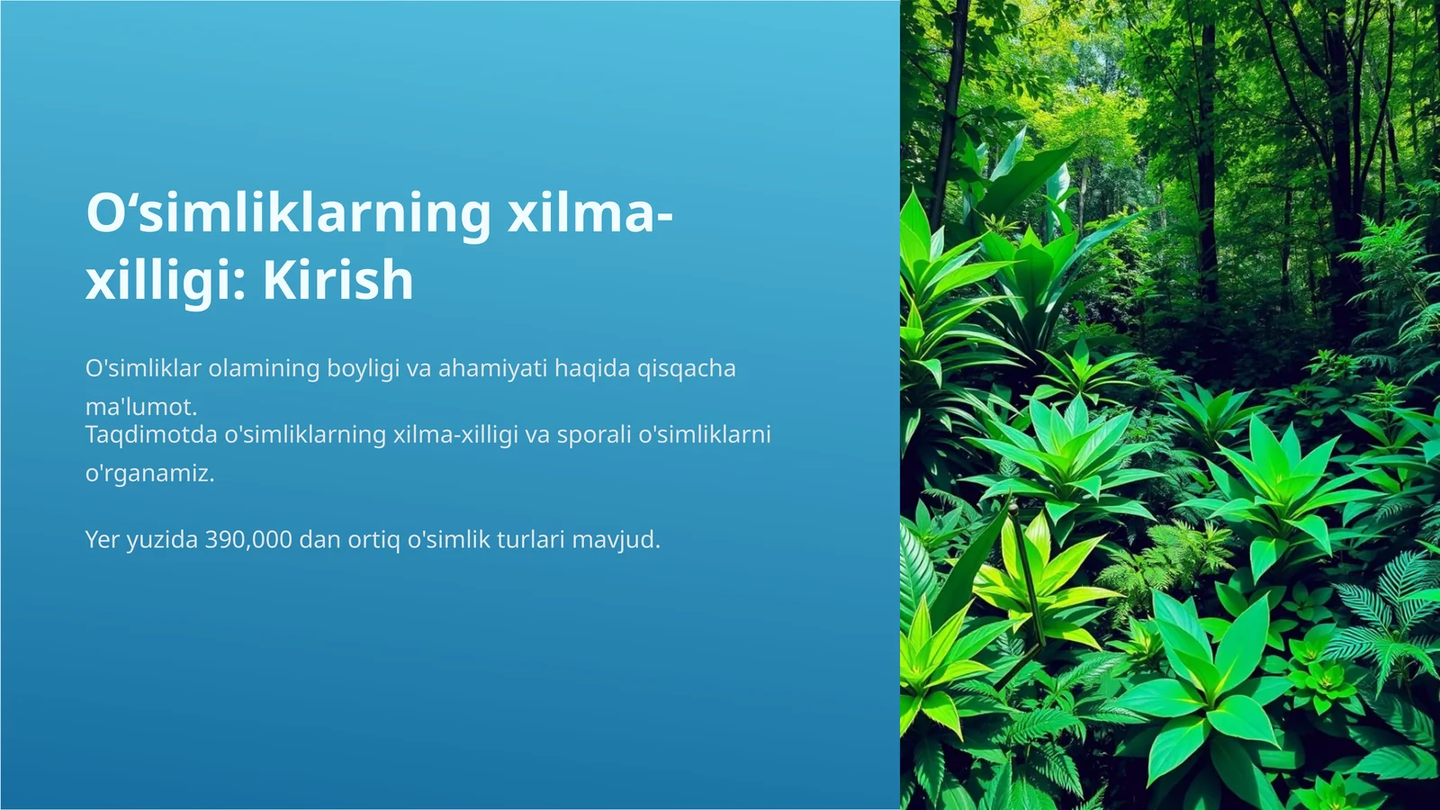 O'simliklarning xilma xilligi