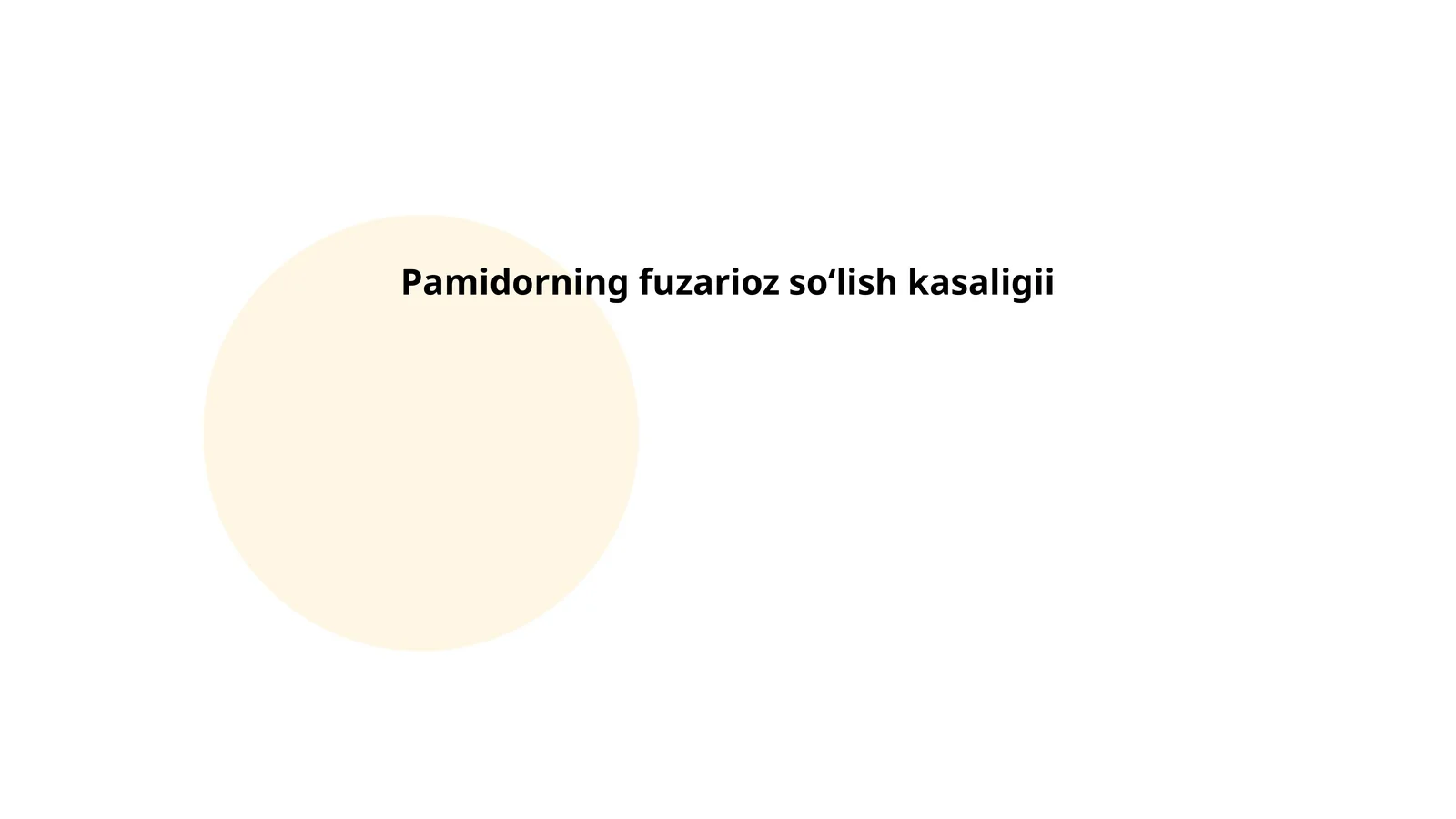 Pamidorning fuzarioz so‘lish kasaligii