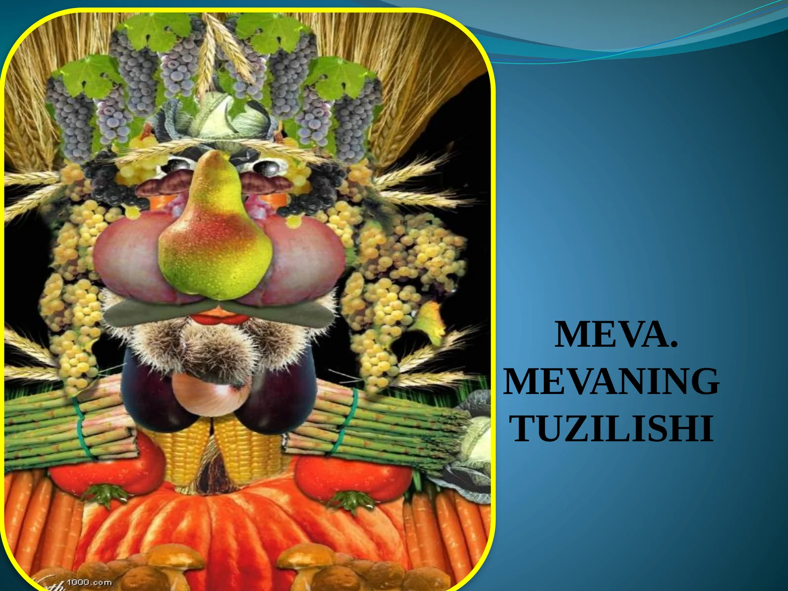 MEVA. MEVANING TUZILISHI