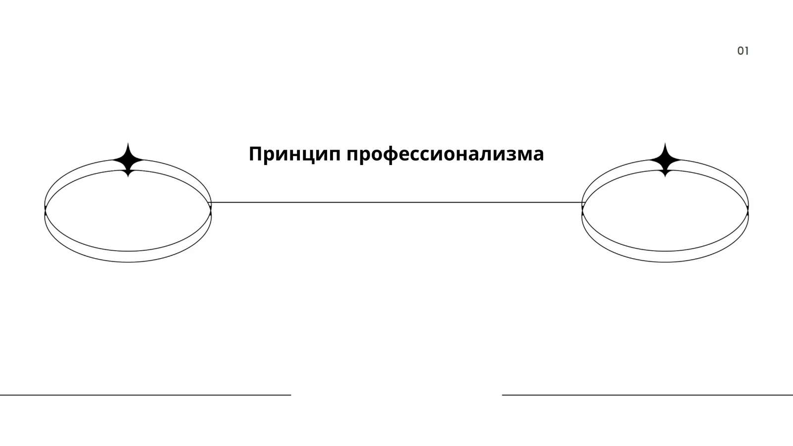 Принцип профессионализма
